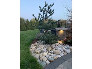 GARDEN CLIPPINGS: Creating a low-maintenance garden