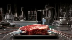 Freno a la carne cultivada