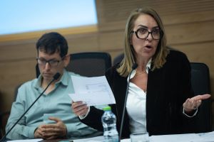 Veteran election czar Orly Adas resigns, throwing committee into turmoil