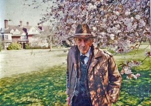 ‘Sakura diplomacy’: One tree, two men, three wars