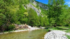 Na sat i po od Beograda: Reka čija smaragdna boja oduzima dah