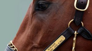 Meet The Wily Billionaire Trucking Boss Behind Kentucky Derby Favorite Renegade