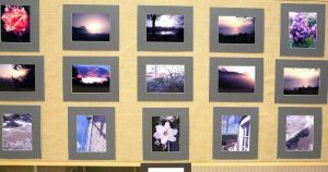Photography exhibition celebrates local talent