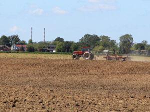 Opinion: Food security starts with protecting Ontario’s disappearing farmland