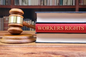 Expanding the Safety Net