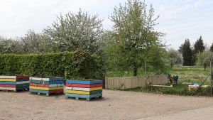 Pläne für Ortsmitte Mimmenhausen nehmen Gestalt an