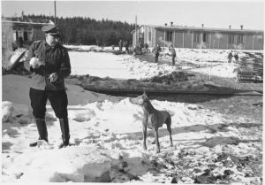Weaponized Canines: Dogs in the Concentration Camp System