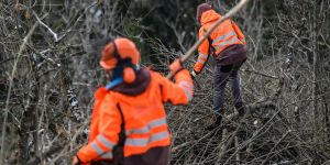 Der Zivildienst schadet dem Land
