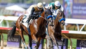 2026 Kentucky Derby guide: Post time, odds, and experts’ pick for the Run for the Roses
