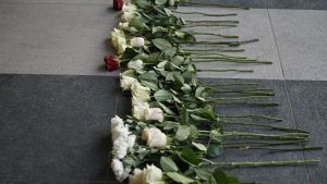 Studenti Pravnog fakulteta u Beogradu pozvali sutra na šetnju do „Ribnikara“
