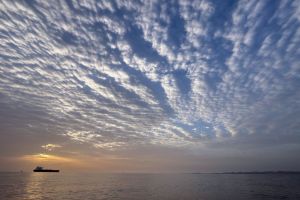 Energy shocks speed the shift away from fossil fuels