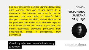 Ciruelos y adjetivos para admiraciones y gratitudes