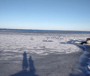Across the Øresund: Danish Antisemitism (Part One)