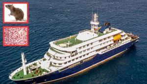 Hantavirus: Three dead on Atlantic cruise ship after WHO confirms case