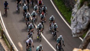 Sobre la Mallorca 312 OK Mobility
