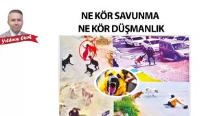 Ne kör savunma ne kör düşmanlık