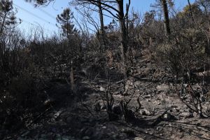 Monte Faeta, a pranzo dopo aver bruciato gli sfalci: la catena di negligenze dei due indagati