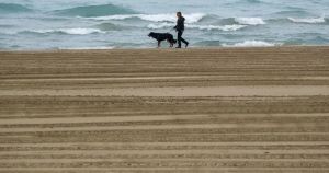 Viewpoints: Can I trust my AI ‘best friend forever’?