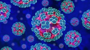Šta je hantavirus – infekcija zbog koje su preminule tri osobe na kruzeru?