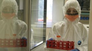 Cos’è l’hantavirus, come si trasmette e sintomi. Incubo focolaio a bordo della nave da crociera MV Hondius