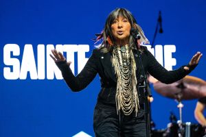 Circular arguments about Indigenous identity are about as annoying as mosquitoes