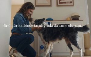 “Bakım emeği açısından hayvanlarla yaşamakla insanlarla yaşamak arasında mutlak ayrım yok”
