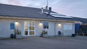 Skat­te­kro­ner fyres af på mil­li­onvil­la og Tesla - hvor er kon­trol­len?