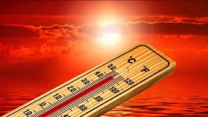India Must Fight The Heatwave On A War Footing