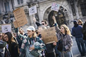 Violences sexuelles dans le périscolaire : à Paris, le premier procès d’une longue série s’ouvre ce mardi