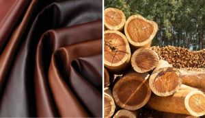 EU removes leather from anti-deforestation rules following industry pressure
