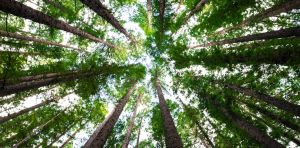 How a sense of awe can be good for your mental health
