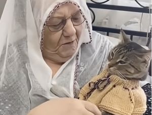 Sayın Alile Bakanı, size Kulaksız köyünden çok ciddi itiraz var