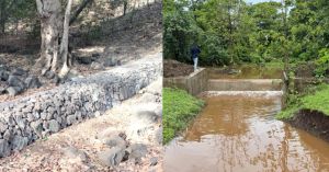How Surat Turned Forests Into Water Banks Conserving 580 Crore Litres
