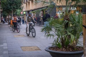 Un 'boom' de pedidos tras la sequía dificulta la reposición de árboles en el área de Barcelona