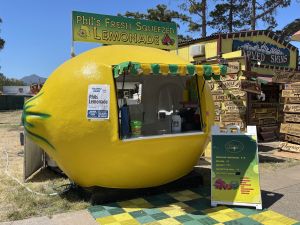 Stolen lemons, sparkling anti-Zionism, and a post-trust society