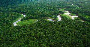 Design na integridade pública contra corrupção: exemplo do Fundo Amazônia