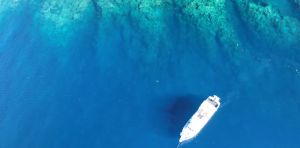 Massive marine heatwave caused Caribbean coral reefs to collapse much faster than predicted – new research