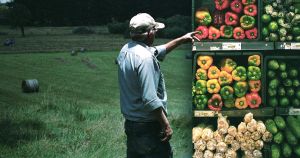 SNP food price cap? What if, for food security, prices need to go higher?