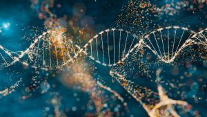 Longevity: Wie wir wirklich gesund alt werden