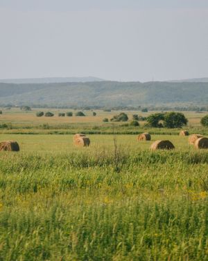 Los cuidados en las zonas rurales