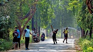 “Govt should ensure there’s no need to cut down trees”