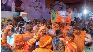 P B Mehta writes: BJP’s triumph is a testament to its political energy, but it carries a shadow for Indian democracy