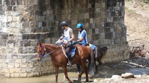 Campionato di Endurance con 323 cavalli al via