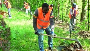 Pederobba, patente di integrazione a chi lavora per il Comune