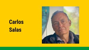 La banalidad del arte