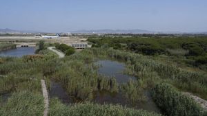 La consultora ambiental de la ampliación del aeropuerto de Barcelona inicia contactos para justificar el proyecto ante Europa