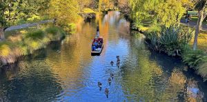 How to build cities for wildlife, not just people – new research