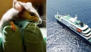 Hantavirus outbreak: MV Hondius crew told passengers victim was ‘not infectious’