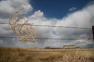 Maybe Canada should levy a tumbleweed tax on the U.S.
