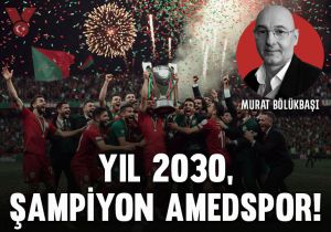 Yıl 2030, Şampiyon Amedspor!